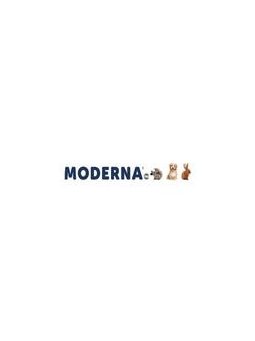 Moderna